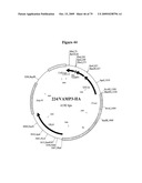 APOPTOSIS METHODS, GENES AND PROTEINS diagram and image