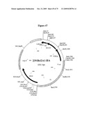 APOPTOSIS METHODS, GENES AND PROTEINS diagram and image