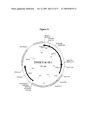 APOPTOSIS METHODS, GENES AND PROTEINS diagram and image