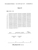 APOPTOSIS METHODS, GENES AND PROTEINS diagram and image