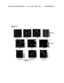 Compositions For the Treatment of Diabetes diagram and image