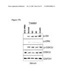 Compositions For the Treatment of Diabetes diagram and image