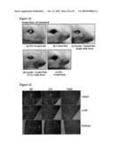 Compositions For the Treatment of Diabetes diagram and image