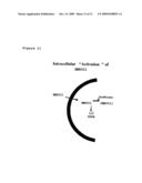 COMPOUNDS THAT STIMULATE GLUCOSE UTILIZATION AND METHODS OF USE diagram and image