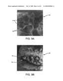 SURFACE MODIFIED EXPANDED POLYTETRAFLUOROETHYLENE DEVICES AND METHODS OF PRODUCING THE SAME diagram and image