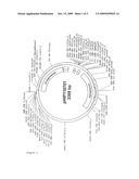 Method for producing recombinant RNase A diagram and image