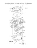 ACCESS ASSEMBLY WITH MULTI-FLAPPER DESIGN diagram and image