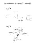 Method and apparatus for establishing optimum route to intersection destination for navigation system diagram and image