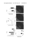 Methods and animal model for analyzing age-related macular degeneration diagram and image