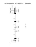 Stearoyl-CoA Desaturase 4 Gene diagram and image