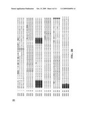 Stearoyl-CoA Desaturase 4 Gene diagram and image