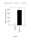 Stearoyl-CoA Desaturase 4 Gene diagram and image