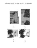 Methods of increasing abiotic stress tolerance and/or biomass in plants genterated thereby diagram and image