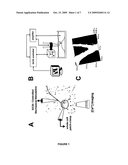 SCANNING ION CONDUCTANCE MICROSCOPY FOR THE INVESTIGATION OF LIVING CELLS diagram and image