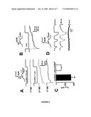 SCANNING ION CONDUCTANCE MICROSCOPY FOR THE INVESTIGATION OF LIVING CELLS diagram and image