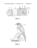 Bird feeder with removeable feeding tray diagram and image