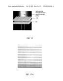 BACKLIGHT UNIT AND LIQUID CRYSTAL DISPLAY MODULE INCLUDING THE SAME diagram and image