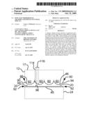 IONIC ELECTROPHORESIS IN TIR-MODULATED REFLECTIVE IMAGE DISPLAYS diagram and image