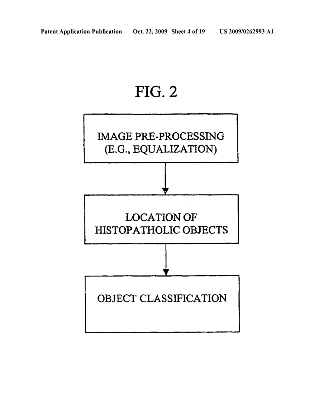 Pathological tissue mapping - diagram, schematic, and image 05