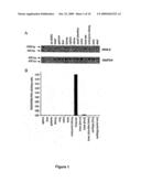 Novel means and methods for the treatment of hearing loss and phantom hearing diagram and image