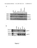 Novel means and methods for the treatment of hearing loss and phantom hearing diagram and image