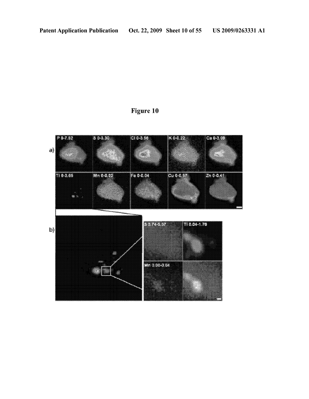 MULTIFUNCTION NANOCONJUGATES FOR IMAGING APPLICATIONS AND TARGETED TREATMENT - diagram, schematic, and image 11