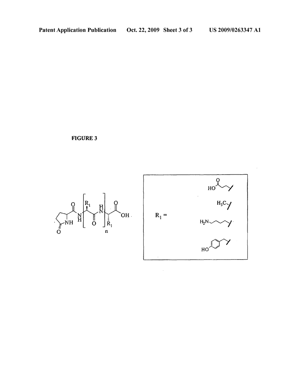 ANALYSIS OF AMINO ACID COPOLYMER COMPOSITIONS - diagram, schematic, and image 04