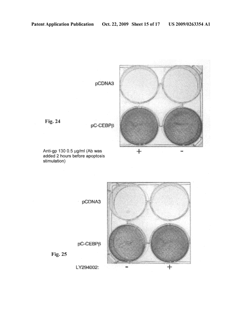 Compositions and siRNAs for inhibiting C/EBPbeta - diagram, schematic, and image 16