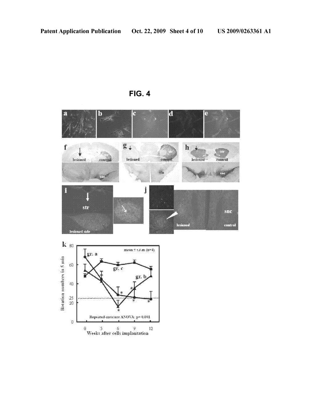 HUMAN TROPHOBLAST STEM CELLS AND USE THEREOF - diagram, schematic, and image 05