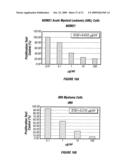 Compositions of Prokaryotic Phenylalanine Ammonia-Lyase and Methods of Treating Cancer Using Compositions Thereof diagram and image