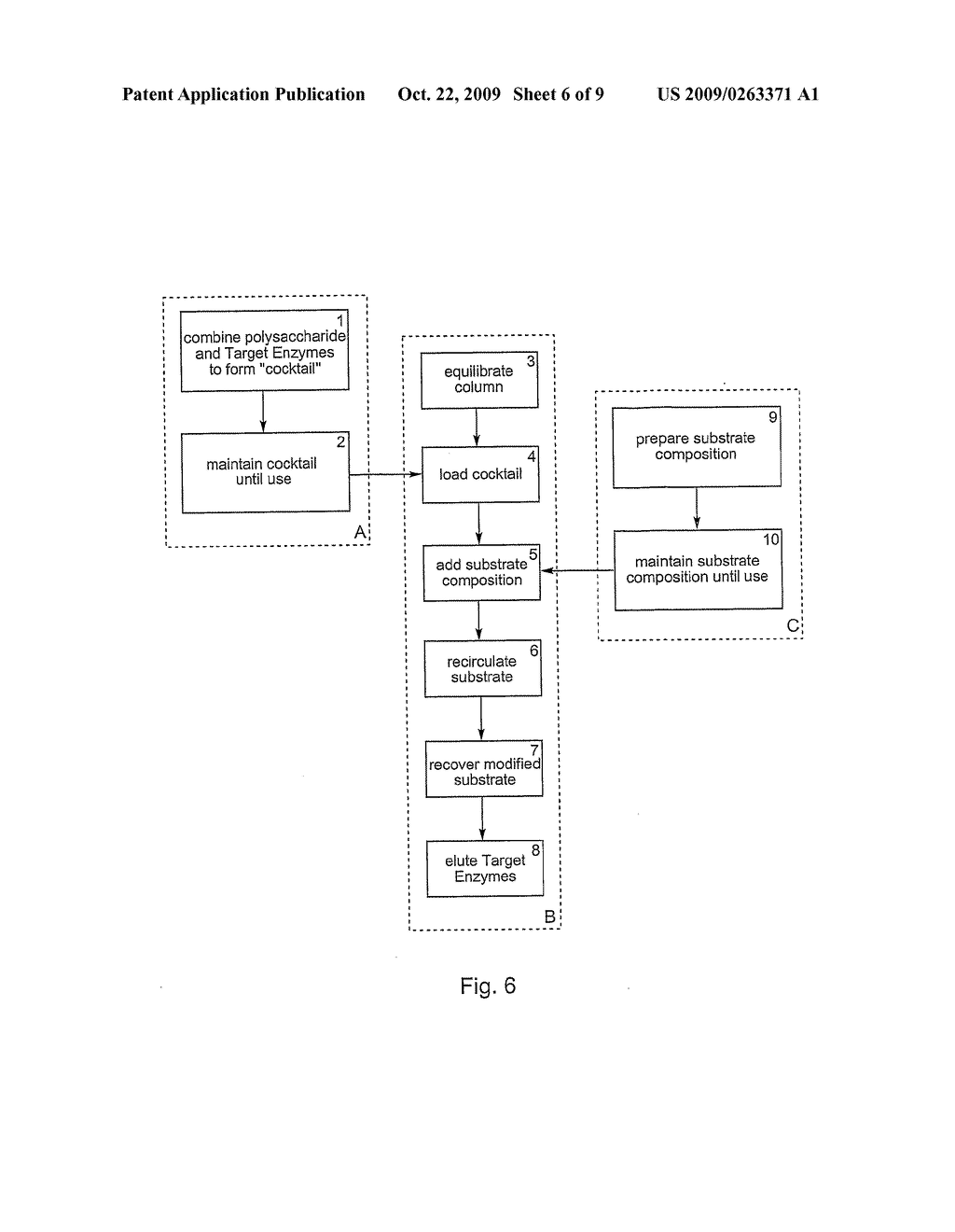 Use Polysaccharides for Promotion of Enzymatic Activity - diagram, schematic, and image 07