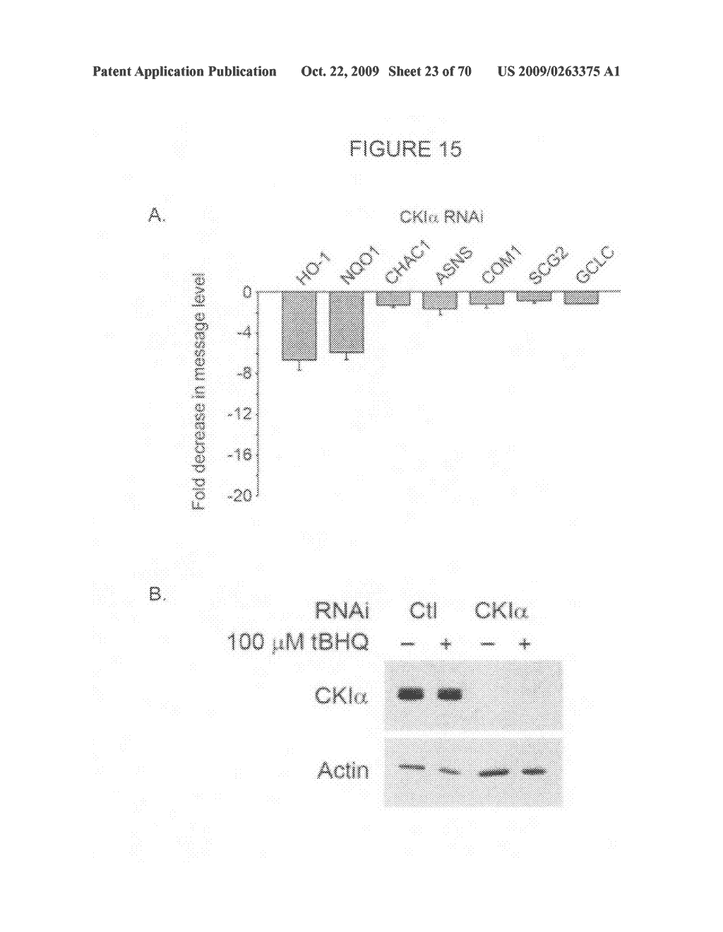 NOVEL POLY(A) POLYMERASE - diagram, schematic, and image 24