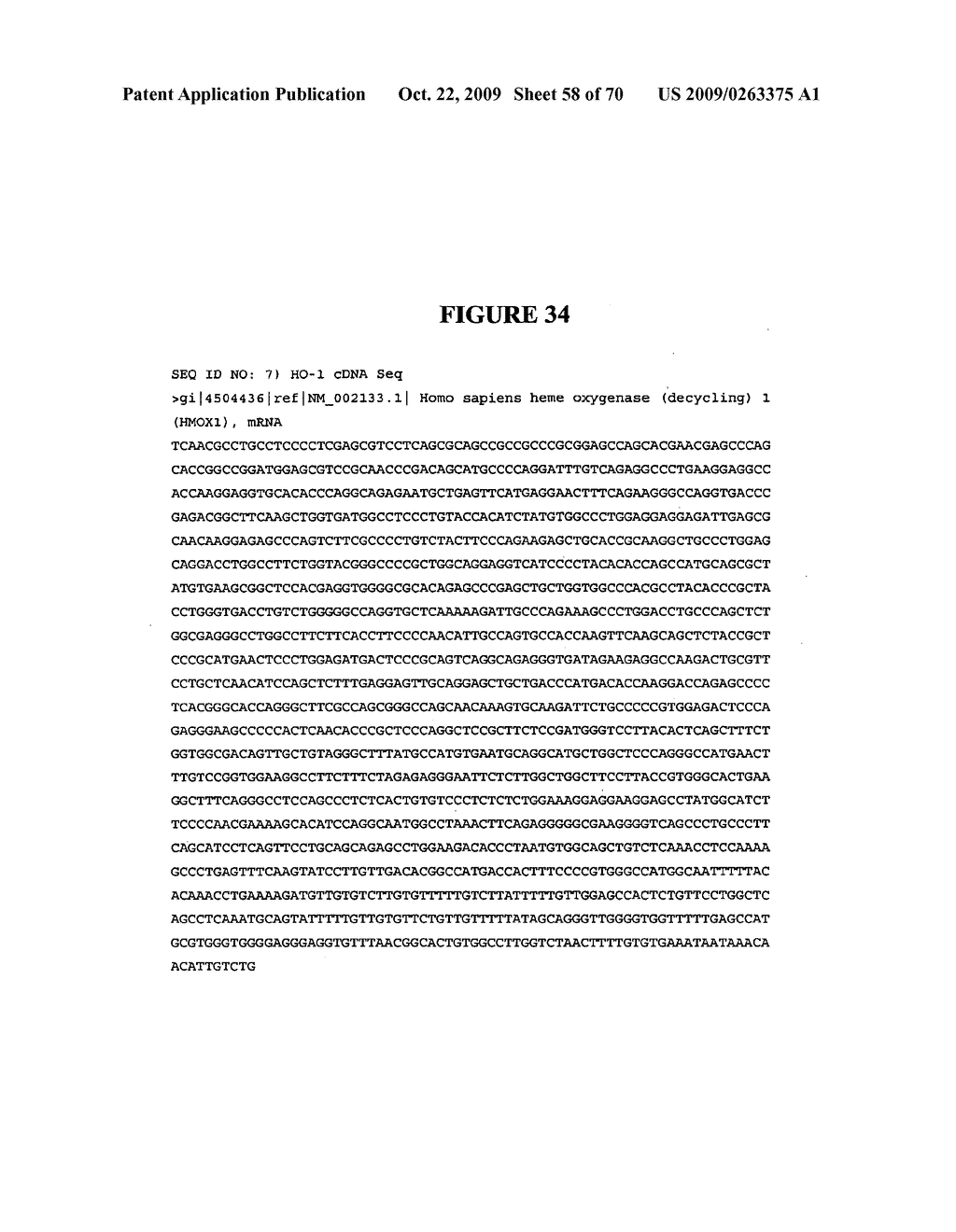 NOVEL POLY(A) POLYMERASE - diagram, schematic, and image 59