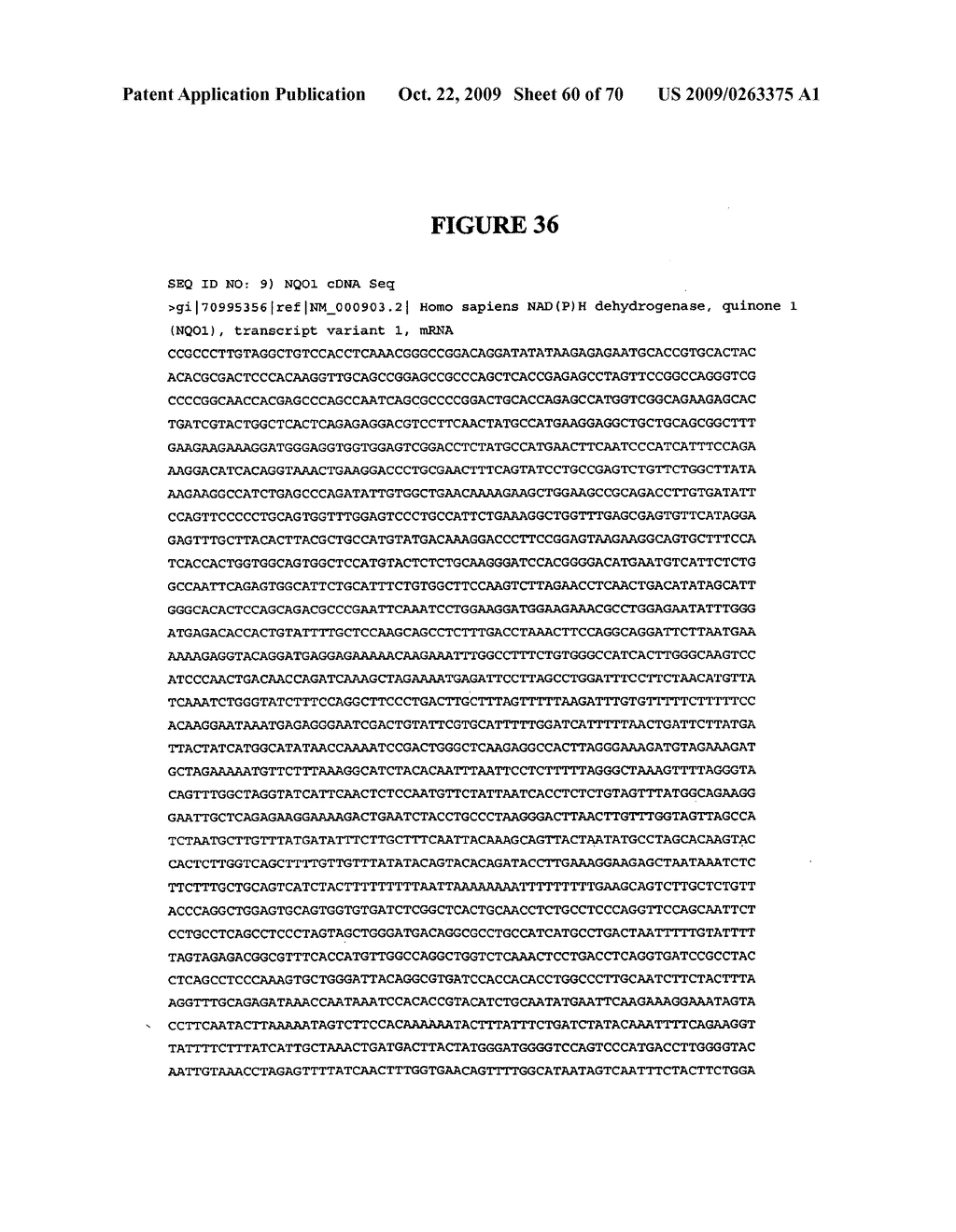 NOVEL POLY(A) POLYMERASE - diagram, schematic, and image 61