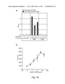 Breaking immunological toterance with a genetically encoded unnatural amino acid diagram and image