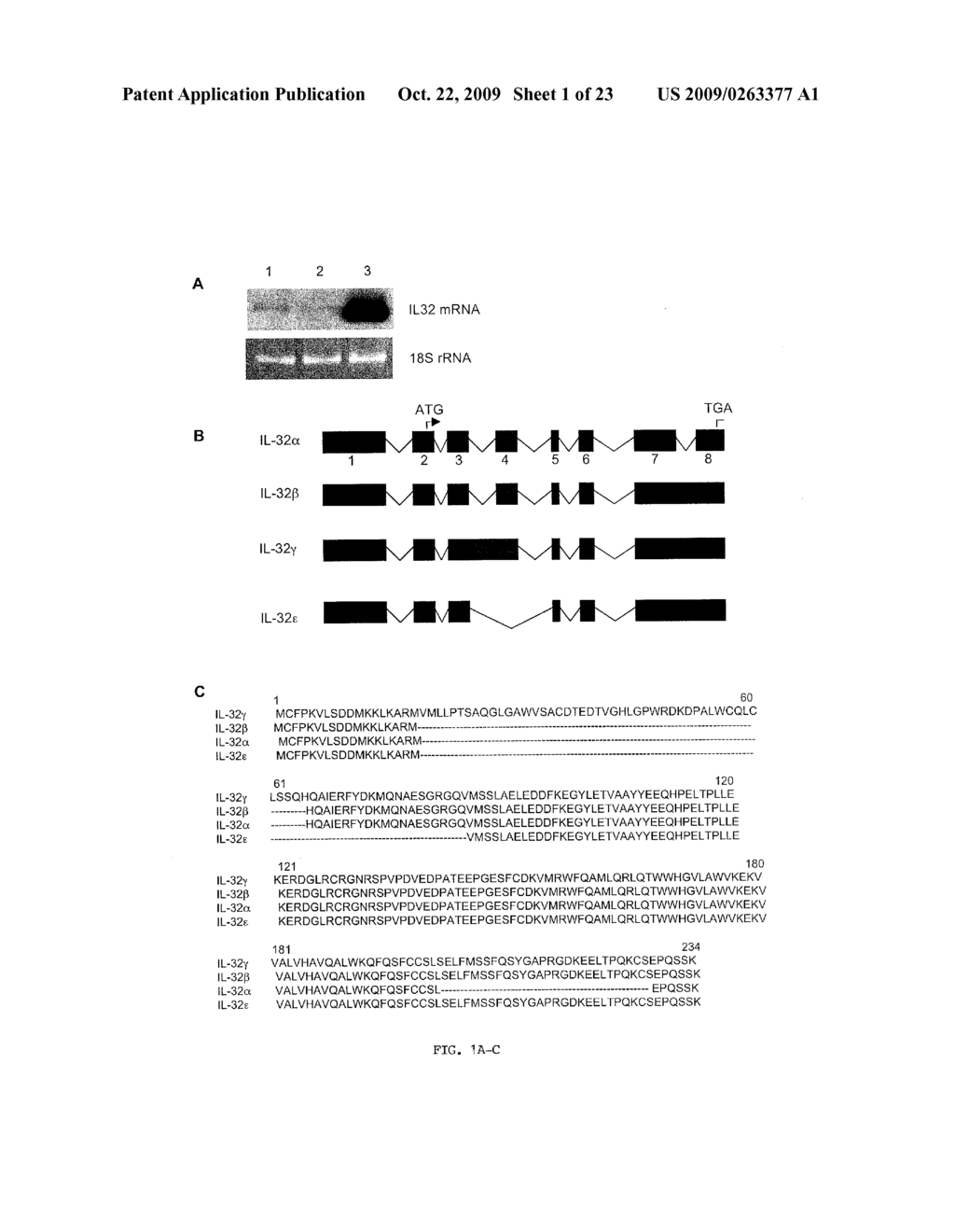 IL-32B-TARGETED DIAGNOSIS AND THERAPY - diagram, schematic, and image 02