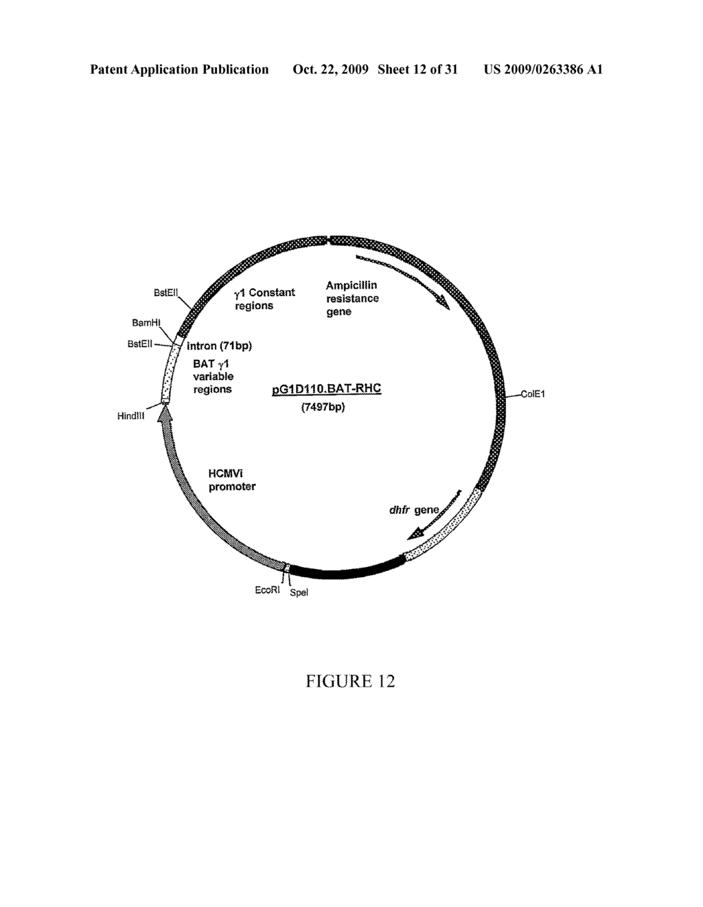 HUMANIZED IMMUNOMODULATORY MONOCLONAL ANTIBODIES FOR THE TREATMENT OF NEOPLASTIC DISEASE OR IMMUNODEFICIENCY - diagram, schematic, and image 13