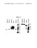 METHODS OF MODIFYING ANTIBODIES FOR PURIFICATION OF BISPECIFIC ANTIBODIES diagram and image