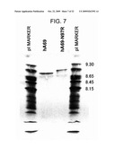 METHODS OF MODIFYING ANTIBODIES FOR PURIFICATION OF BISPECIFIC ANTIBODIES diagram and image
