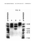 METHODS OF MODIFYING ANTIBODIES FOR PURIFICATION OF BISPECIFIC ANTIBODIES diagram and image