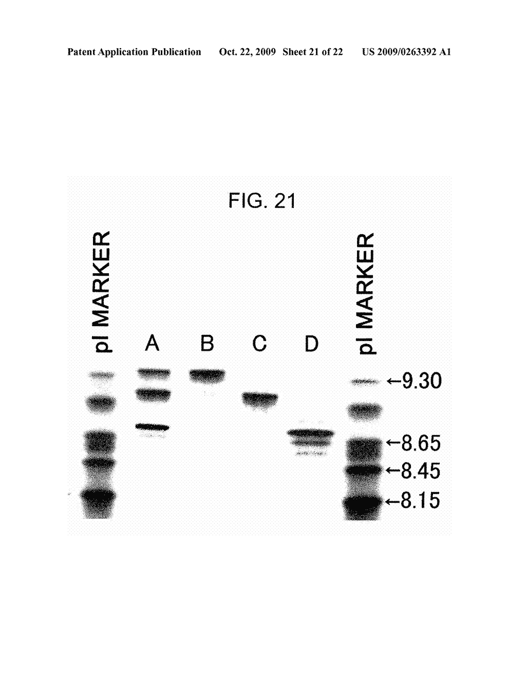 METHODS OF MODIFYING ANTIBODIES FOR PURIFICATION OF BISPECIFIC ANTIBODIES - diagram, schematic, and image 22