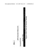 A34 AND A33-LIKE 3 DNA PROTEIN, ANTIBODIES THERETO AND METHODS OF TREATMENT USING SAME diagram and image