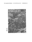 A34 AND A33-LIKE 3 DNA PROTEIN, ANTIBODIES THERETO AND METHODS OF TREATMENT USING SAME diagram and image