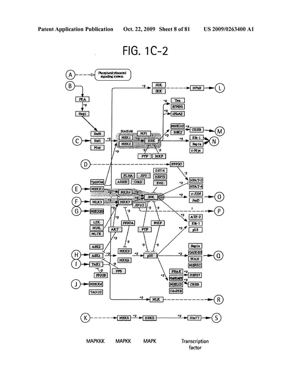 OSTEOPOROSIS ASSOCIATED MARKERS AND METHODS OF USE THEREOF - diagram, schematic, and image 09