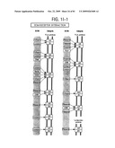 OSTEOPOROSIS ASSOCIATED MARKERS AND METHODS OF USE THEREOF diagram and image