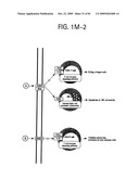 OSTEOPOROSIS ASSOCIATED MARKERS AND METHODS OF USE THEREOF diagram and image