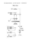 OSTEOPOROSIS ASSOCIATED MARKERS AND METHODS OF USE THEREOF diagram and image