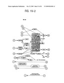 OSTEOPOROSIS ASSOCIATED MARKERS AND METHODS OF USE THEREOF diagram and image