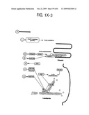 OSTEOPOROSIS ASSOCIATED MARKERS AND METHODS OF USE THEREOF diagram and image