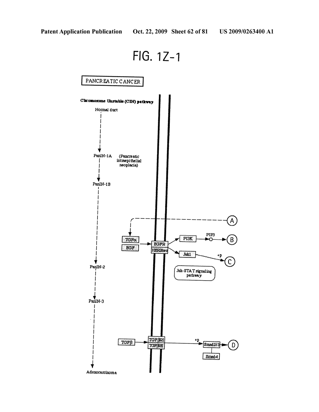 OSTEOPOROSIS ASSOCIATED MARKERS AND METHODS OF USE THEREOF - diagram, schematic, and image 63